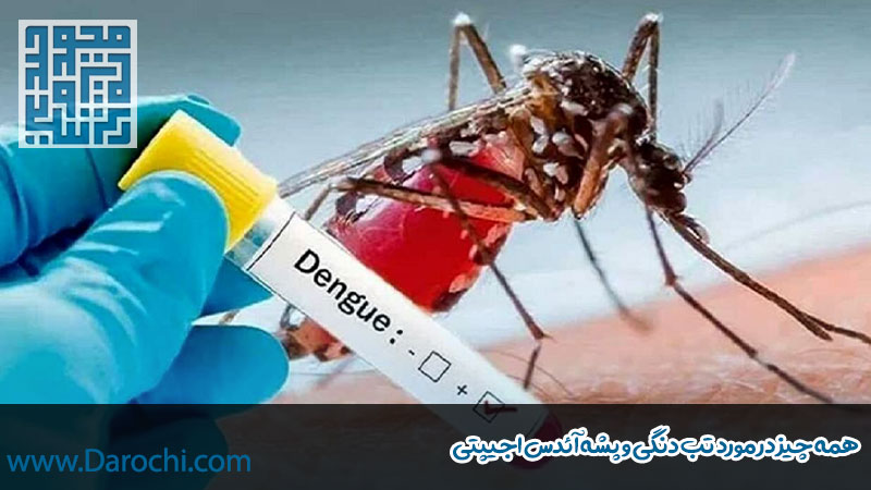 همه چیز در مورد تب دنگی و پشه آئدس اجیپتی