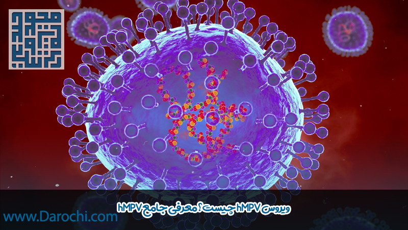 ساختار ویروس hmpv