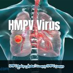 ویروس hmpv چیست؟