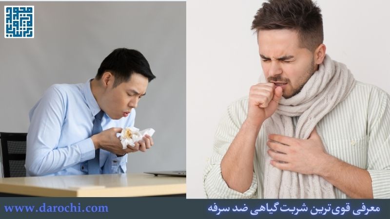 معرفی قوی‌ترین شربت گیاهی ضد سرفه + 15 شربت گیاهی ضد سرفه