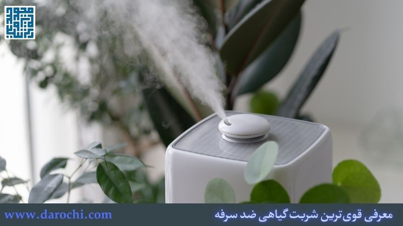 معرفی قوی‌ترین شربت گیاهی ضد سرفه + 15 شربت گیاهی ضد سرفه
