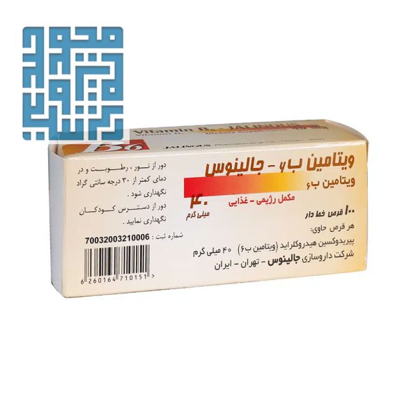 قرص ویتامین B6 جالینوس 100 عدد