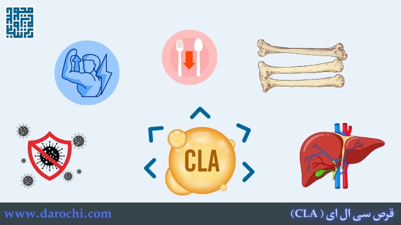 فواید قرص سی ال ای