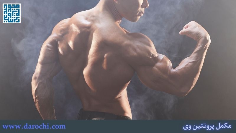 فواید مصرف پودر پروتئین وی برای ورزشکاران