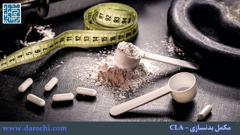 CLA: چربی‌سوزی طبیعی و حفظ عضله در کات