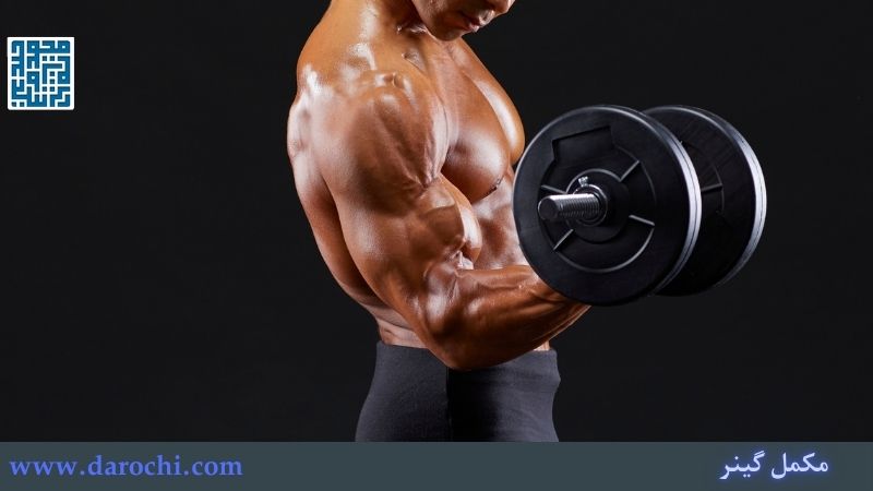 گینرهای افزایش حجم عضلانی (Mass Gainers)