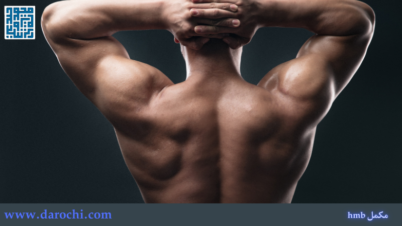 نکات خرید مکمل بدنسازی اچ ام بی