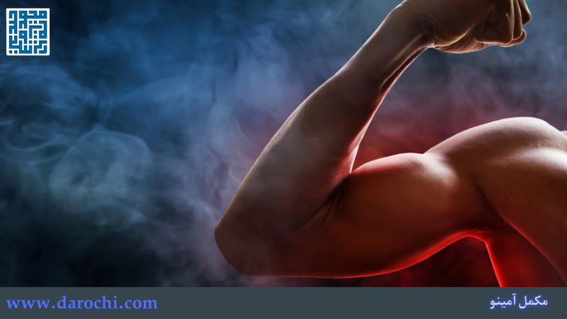 نقش مکمل آمینو اسید در بدنسازی