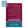 پودر گیاهی پلانتاژل گرانول دینه بسته 10 عددی